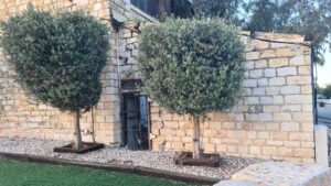 The south part is slowly separated from the main original building