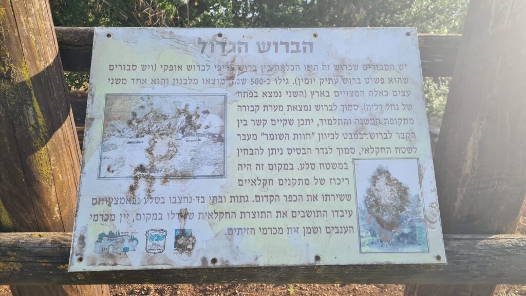 The sign