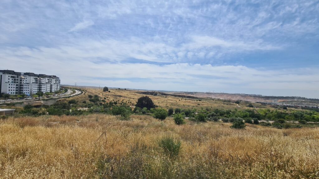 The ecological corridor