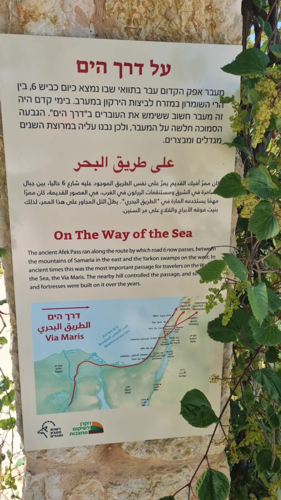 On the way of the sea