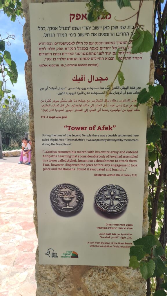 Tower of Afek