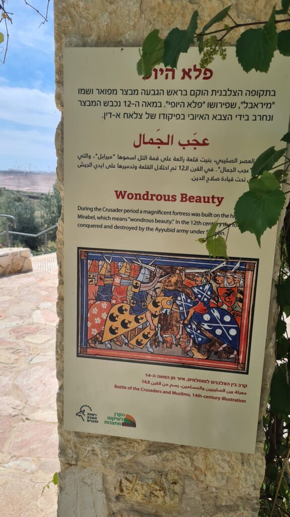 Wondrous Beauty