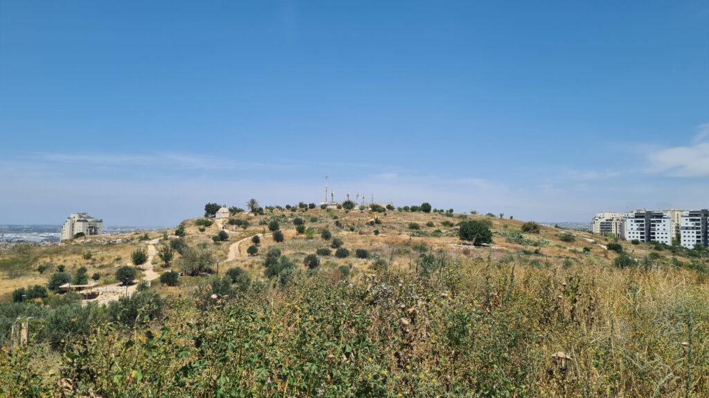 The Tomb hill of Migdal Tsedek from the castle on the other hill