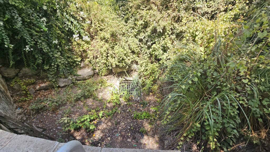 Tzabrin spring from above - Mei Kedem