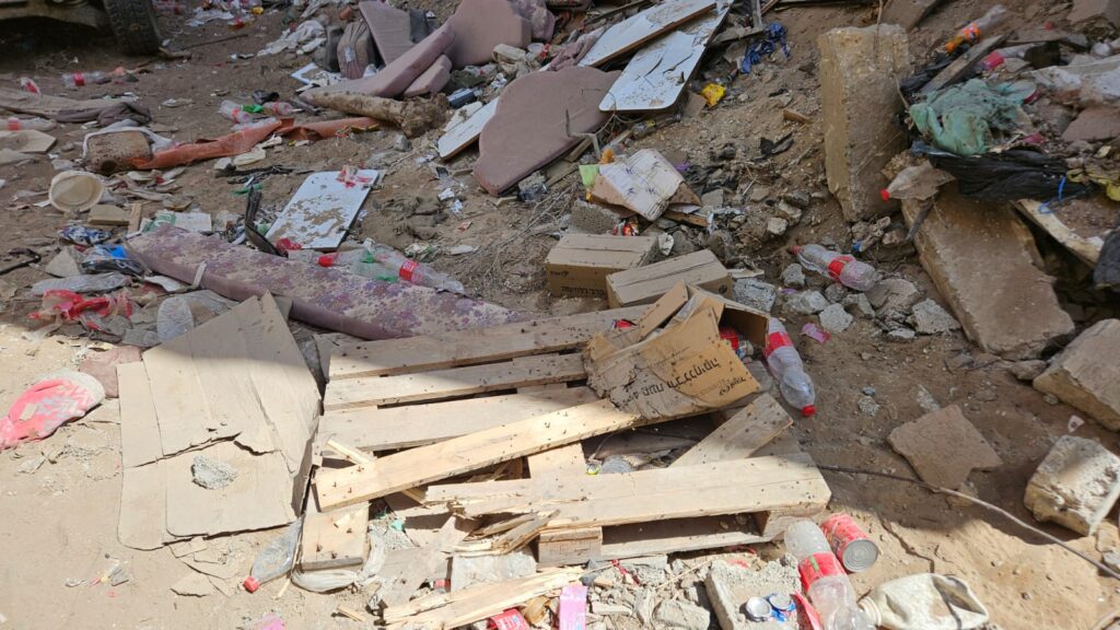 All those small little dots here? those are all flies...