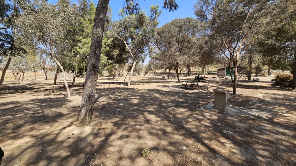 The Picnic area
