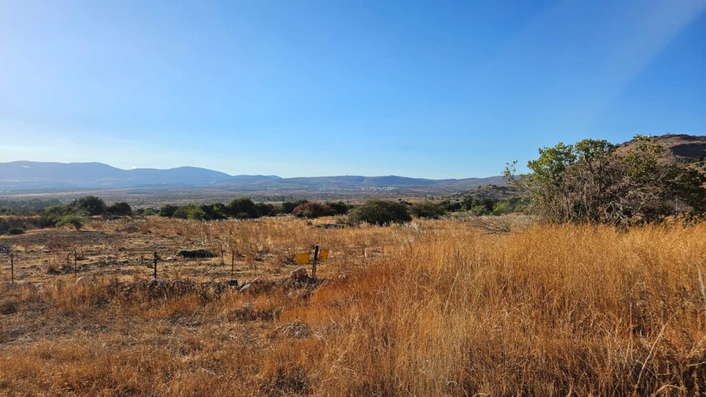 Looking North East you can El-Khiyam on the mountain (in Lebanon), Ghajar underneath it and a minefield with Drimias