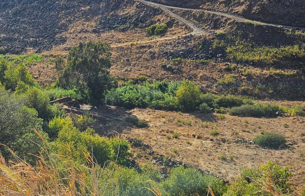 Flour mill on Hasbani