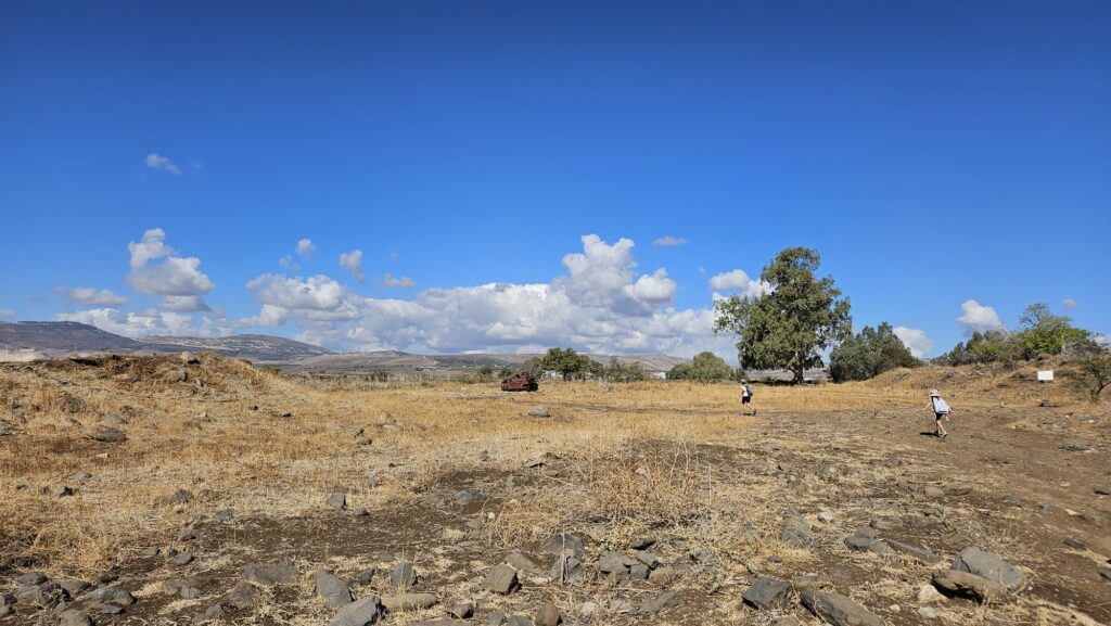 What is there? what are they running to?