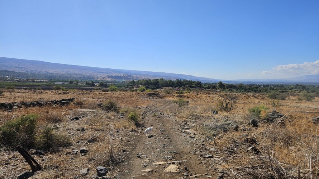 Tel Dan to the south an right of it is Kibbutz Dan