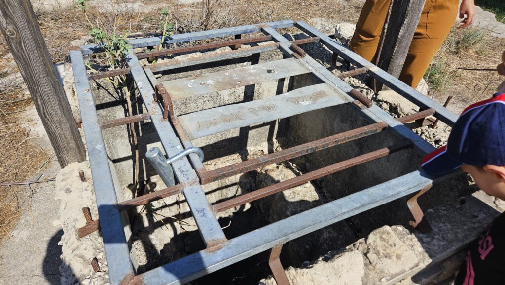 Renovated by David Guttman