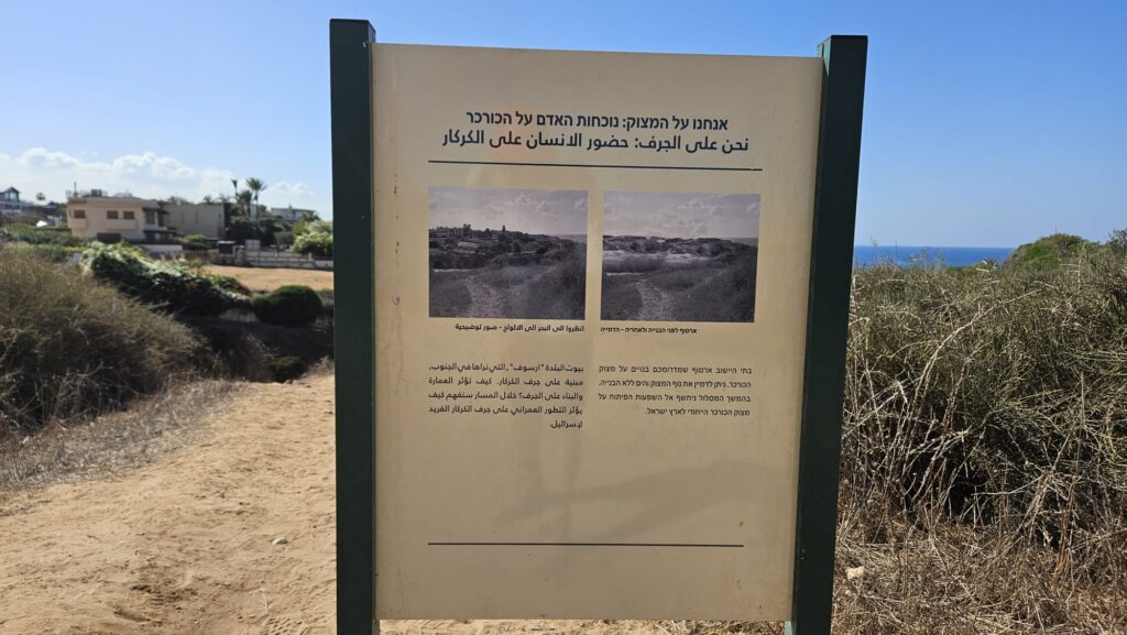 We are on the cliff: the human presence on the Kurkar Arsuf before and after construction - visualization The houses of the settlement of Arsuf, south of you, are built on the Kurkar cliff. You can imagine the view of the cliff and the sea without the construction. Further along the route, we will be exposed to the effects of development on the Kurkar cliff, unique to the Land of Israel.