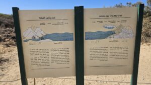 The birth of the Kurkar: how a rock is formed