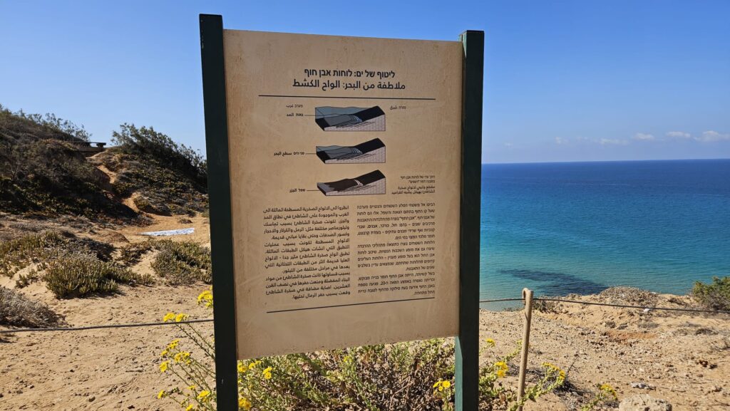 The caressing of the sea: beach rock plates