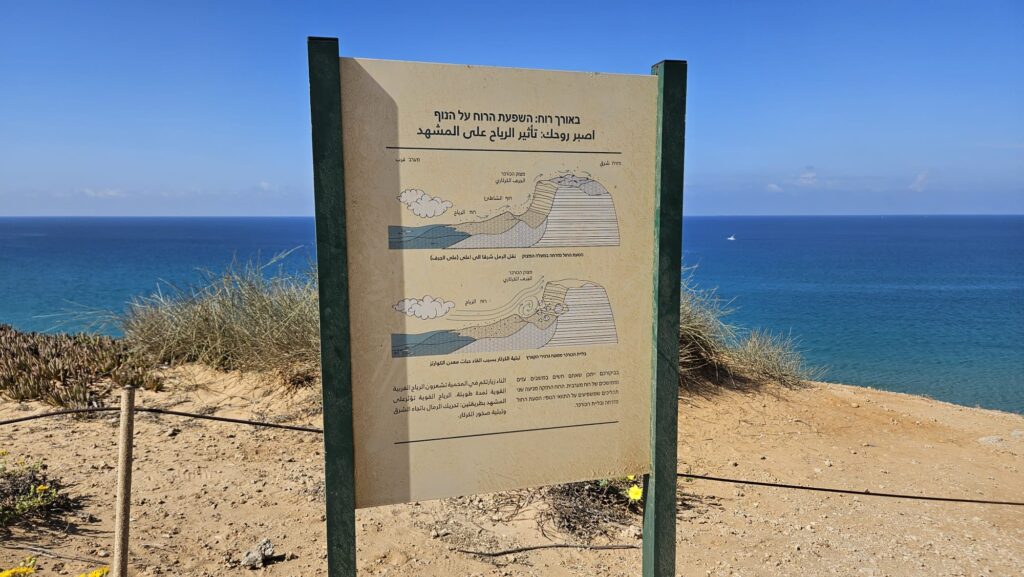 In Longevity: The Effect of Wind on the Landscape
On the image above Wind, Beach, The Kurkar Cliff
The Kurkar Cliff During your visit, you may feel strong and prolonged gusts of westerly wind. The strong wind drives the sand to the east and wears down the Kurkar.