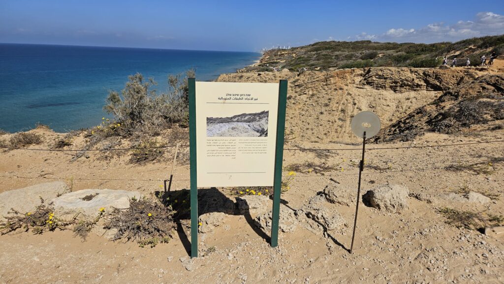 Change direction: cross-bedding. Look at the Kurkar rocks and notice that the rock is built up in layers. Some are parallel and some are inclined diagonally and cross each other. This phenomenon is called "cross-bedding". The phenomenon occurs due to the frequent change in direction of winds and even water currents, which tend to swirl in different directions and shape the shape in which the Kurkar has stabilized.