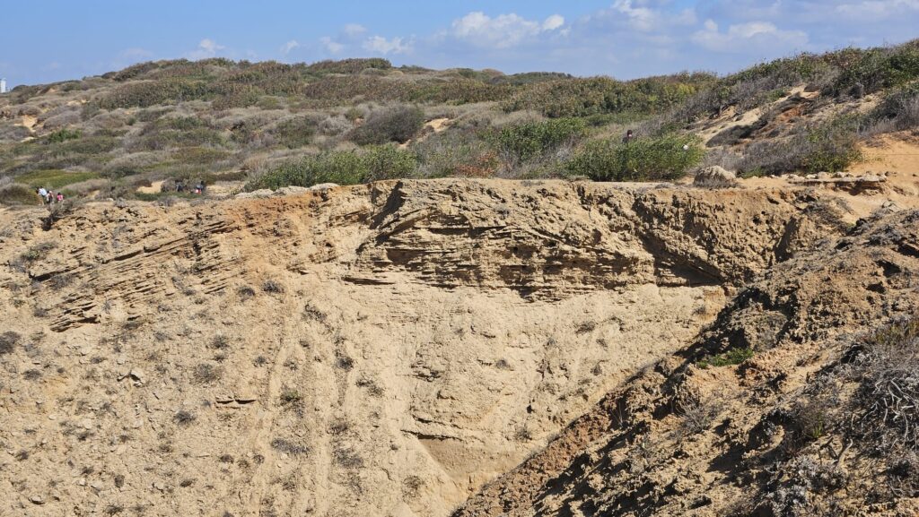 The directions of rock layers across the creek