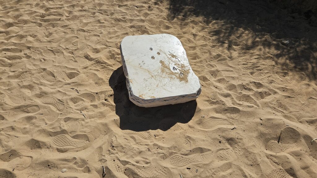 A stone with the park animals footprints cravings