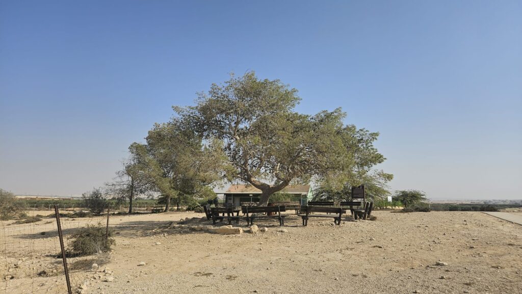 Sdehama Training Group (Hachsharat Sdehama) - The Sdehama training group began to form in 1943, about two years after the establishment of the Palmach. Its members were 11th-grade graduates from Tel Aviv and the Borochov neighborhood, most of them members of the "Working Youth" movement. The training started at Kibbutz Ginnosar. After a year, the group moved to Kibbutz Yagur, where they were joined by graduates of youth companies from Ein Harod and Givat Haim. From there, the group joined the ranks of the Palmach as one of the first enlisted training groups, affiliated with Company A, Battalion 1. Five of its members fell in battle.In November 1945, the group was discharged from the Palmach, and in the same month, its 38 members arrived to reinforce Mizpe Revivim. During the War of Independence, the members of Hachsharat Sdehama formed a significant force in the defense of the settlement. Palmach Heritage.