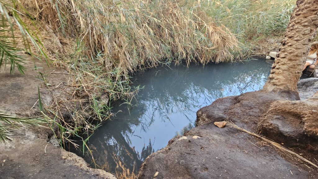 Ein Plutit spring with the high salt concentration what gives them that color - but there still some fish in there.
