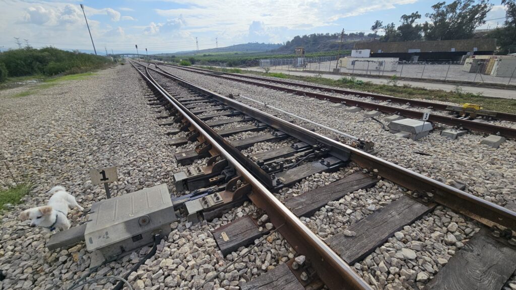 And the system controlling the frog point - Wadi Sarar