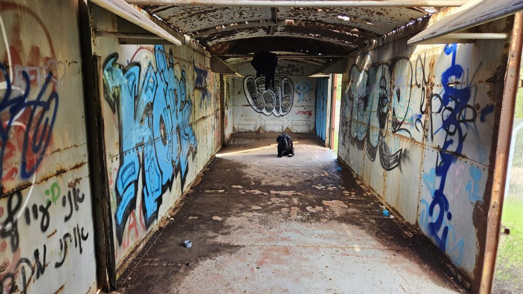 And inside one of the coaches