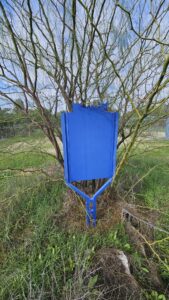 The Ottoman railway station at Nahal Sorek (Wadi Sarar) - an accessible sign of the Council for Conservation of Heritage sites in Israel