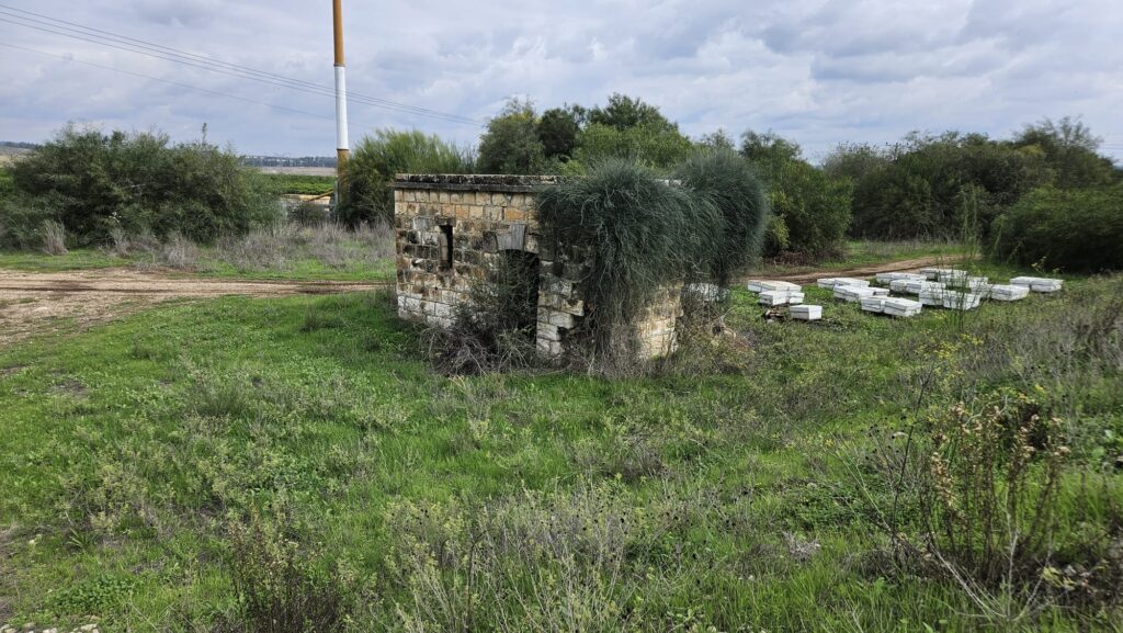 Secondary building (it usually considered as the house of the station manger) and the beehives - Wadi Sarar
