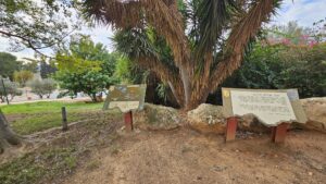 The battle of Hulda convoy - Yitzhak Rabin Park - Palmach Harel Unit On the 20th of Adar II, 5708 (March 31, 1948), a convoy set out from Hulda to Jerusalem, secured by Palmach fighters. The night before, Palmach forces were deployed at Sha'ar HaGai to protect the convoy. However, shortly after departure, several vehicles became stuck in the mud of the nearby riverbed, enabling local Arab forces and recruits from the "Arab Liberation Army" to ambush the convoy. During the battle, the attackers summoned reinforcements that surrounded the convoy. Most of the convoy's fighters managed to retreat back to Hulda, but the crews of three armored vehicles were trapped, and most of them were killed. One of the fighters detonated the vehicle with his comrades inside to prevent them from falling into enemy hands. 21 Palmach fighters fell in the battle.