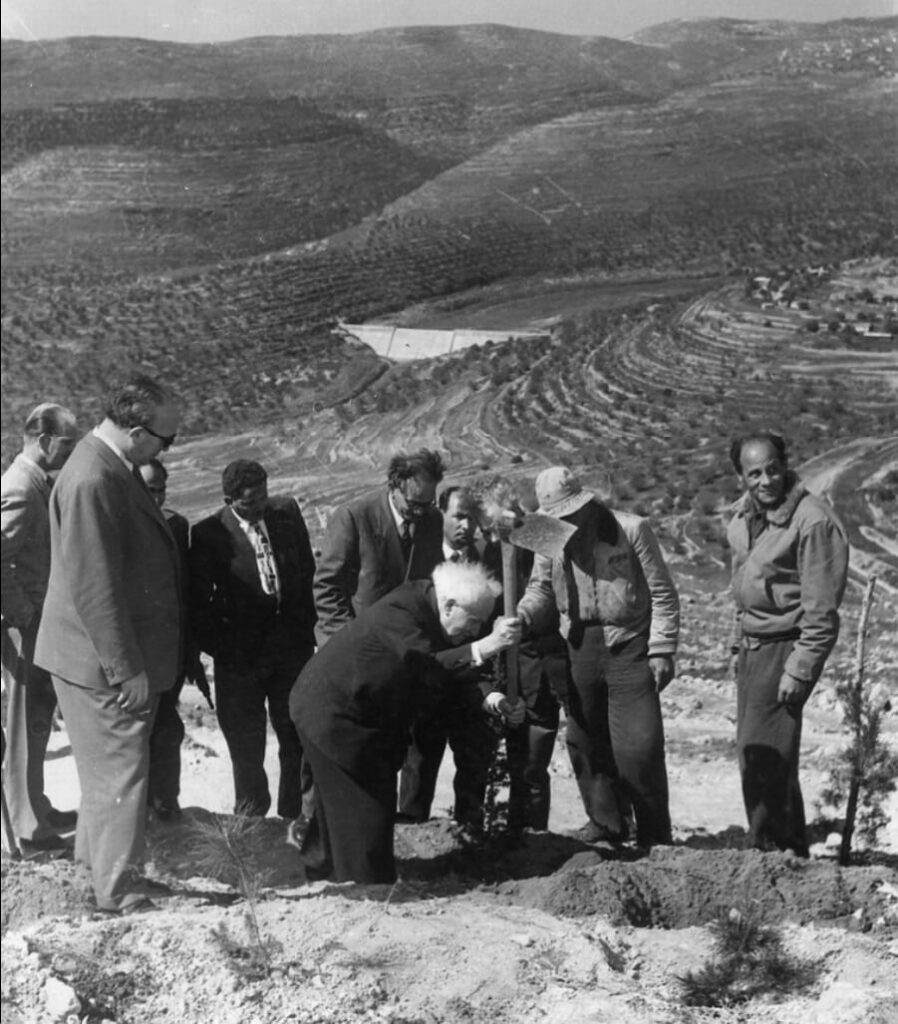 David Ben Gurion planting a Cedar tree in Jerusalem forest on 1958  above Beit Zait Dam  (the tree is now dying)