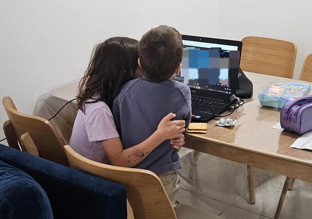 Mindal and Dub are in Zoom meeting try to learn some mathematics