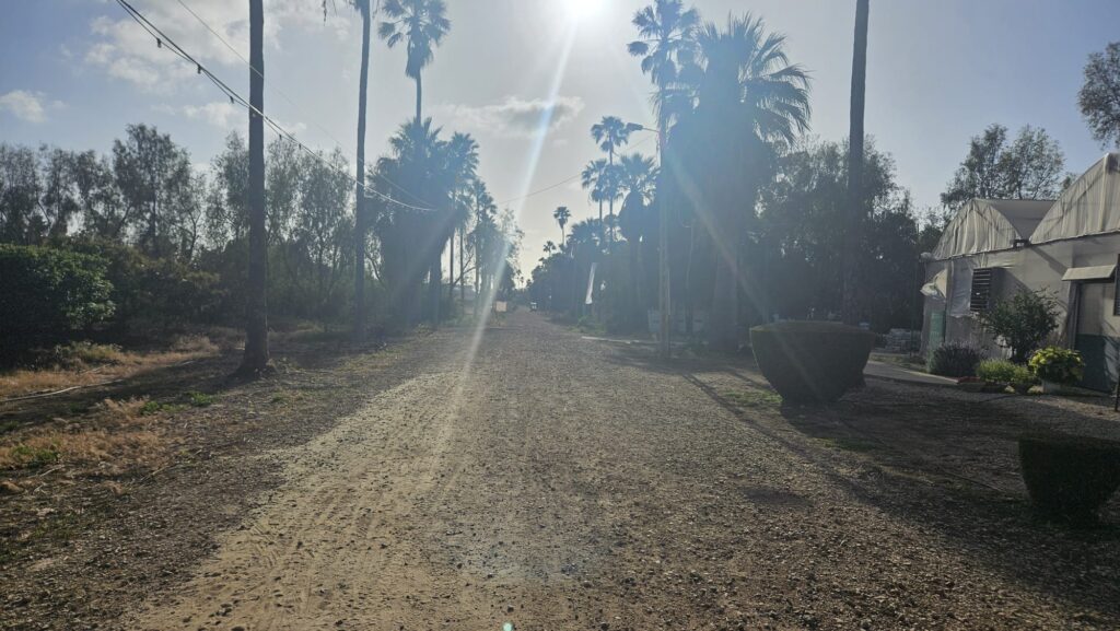 The main boulevard of the farm