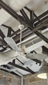 Original ceiling fan - Kingsway
