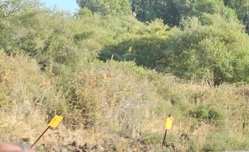 Minefields fence and signs in Golan Heights 