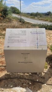 The signs along the stairs as you climb up to the Tel Yavne: Philisine Period (12 century BC-604BC), Hellenistic and Hasmonean periods (332BC-63), Sanhedrin in Yavne (70-140), Byzantine period (324-638), Crusader period (1099-1260), Mamluk period (1260-1517), Ottoman period (1517-1917), British Mandate period (1917-1948), Israel period (1948-today)