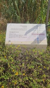 The signs along the stairs as you climb up to the Tel Yavne: Philisine Period (12 century BC-604BC), Hellenistic and Hasmonean periods (332BC-63), Sanhedrin in Yavne (70-140), Byzantine period (324-638), Crusader period (1099-1260), Mamluk period (1260-1517), Ottoman period (1517-1917), British Mandate period (1917-1948), Israel period (1948-today)