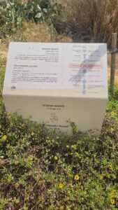 The signs along the stairs as you climb up to the Tel Yavne: Philisine Period (12 century BC-604BC), Hellenistic and Hasmonean periods (332BC-63), Sanhedrin in Yavne (70-140), Byzantine period (324-638), Crusader period (1099-1260), Mamluk period (1260-1517), Ottoman period (1517-1917), British Mandate period (1917-1948), Israel period (1948-today)