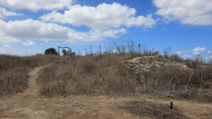 The Crusader period stone and what left of the fortress