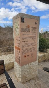 The Crusader period stone and what left of the fortress