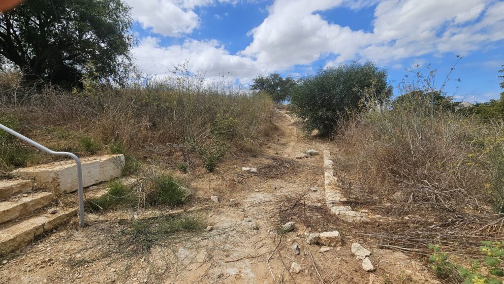 The less nice side of the mound trails