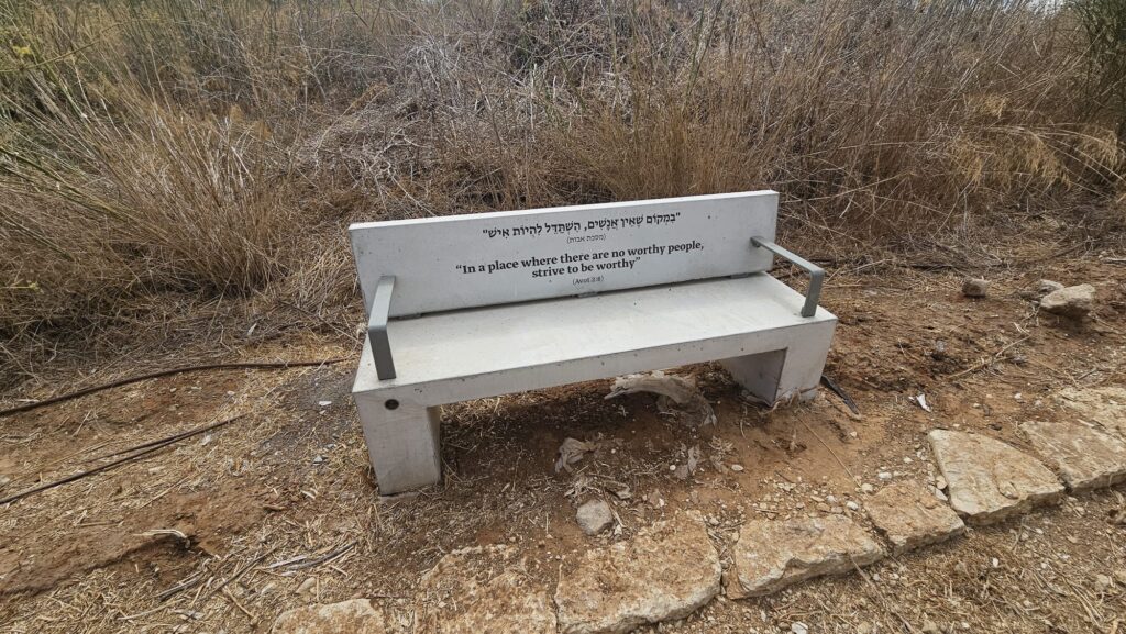 Along the less nice side of the hill, spread benches with quotes from the Talmud