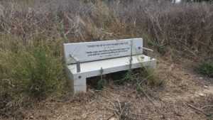 Along the less nice side of the hill, spread benches with quotes from the Talmud