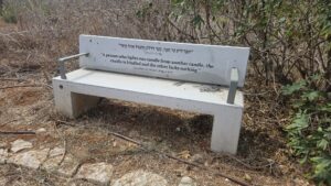 Along the less nice side of the hill, spread benches with quotes from the Talmud