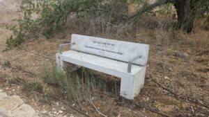 Along the less nice side of the hill, spread benches with quotes from the Talmud