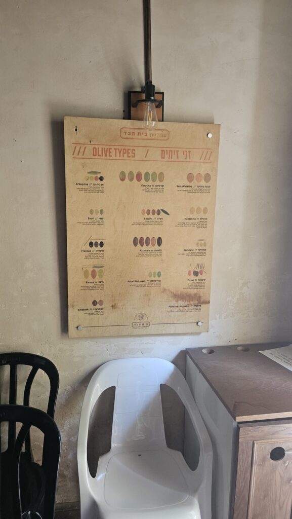 Olive types sign in the building  - Sarona Park