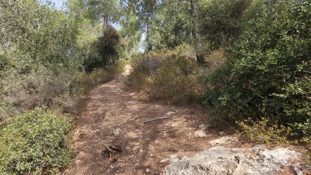 Escape trail