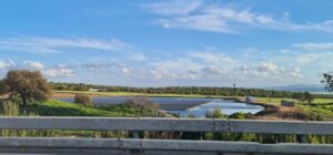 Covering the Horses pool reservoir near Alonei Aba (it also beneficial from the point of reducing the evaporation from the reservoir) - solar panels